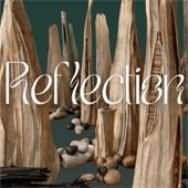 Reflection by Jo Stealey