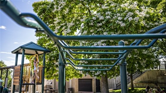 Girl climbs play structure at Westlands Park