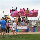 Carnival ride with flying elephants